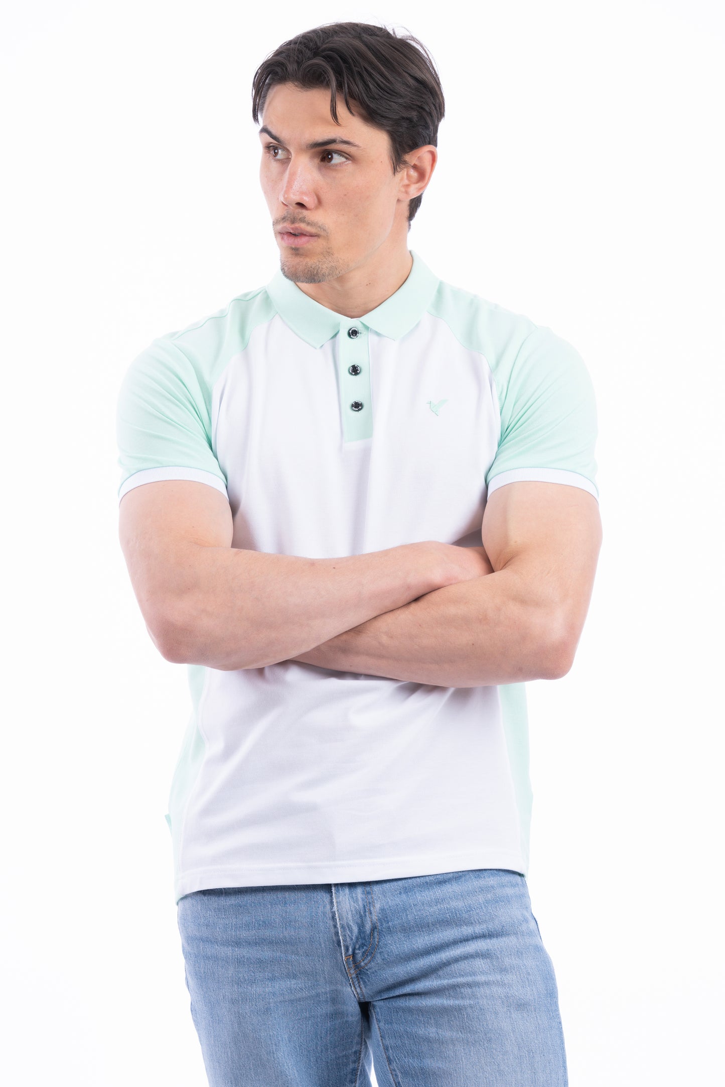 DR-52-POLO-LUCCA (Available in Plus size)