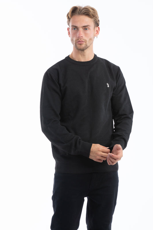 CN-52-KNT-FLINTSHIRE